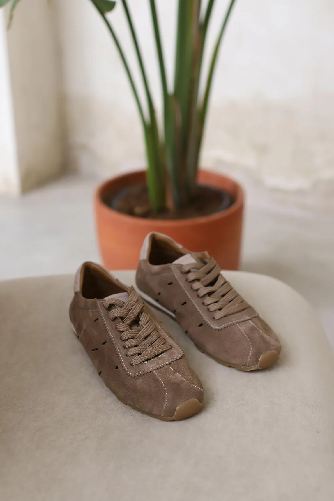Zapatilla Bracai topo - Image 5