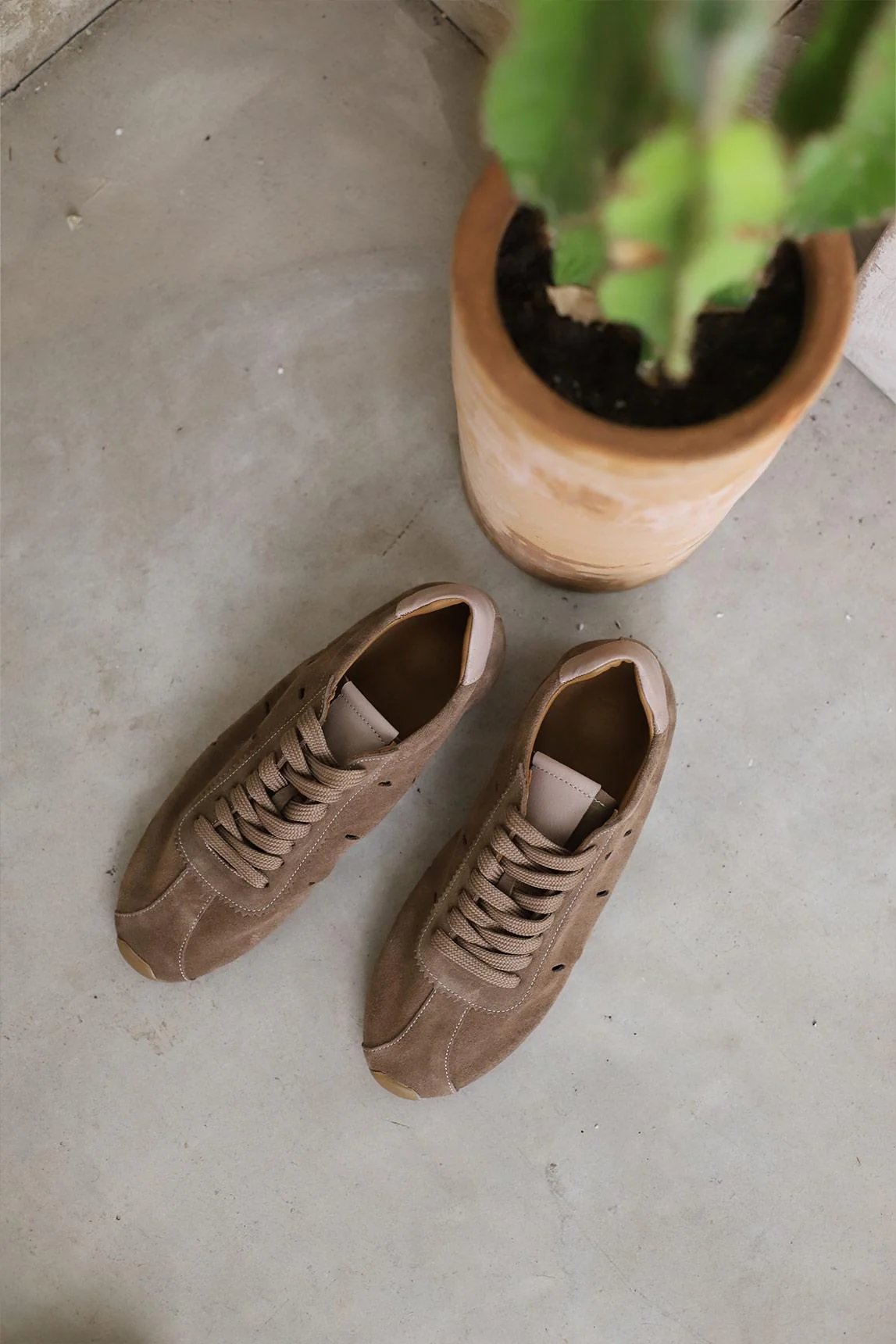Zapatilla Bracai topo - Image 6